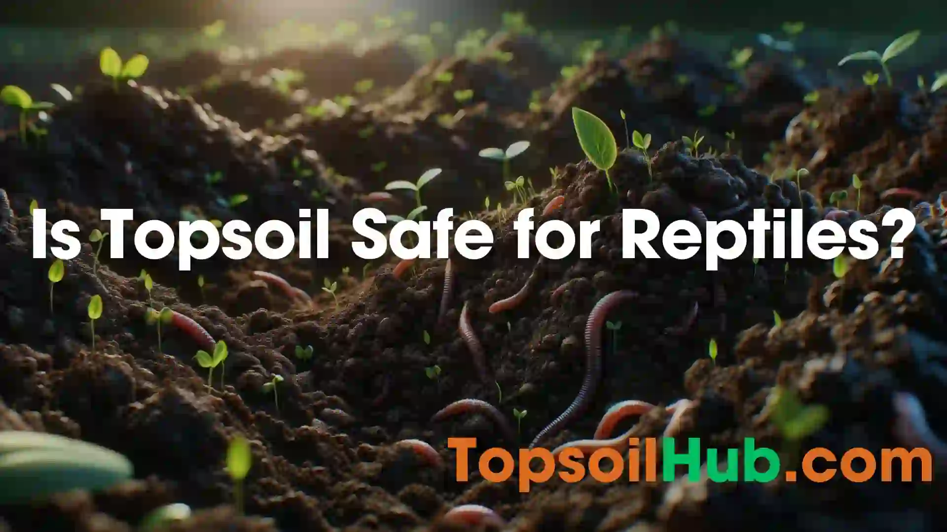 Is Topsoil Safe for Reptiles