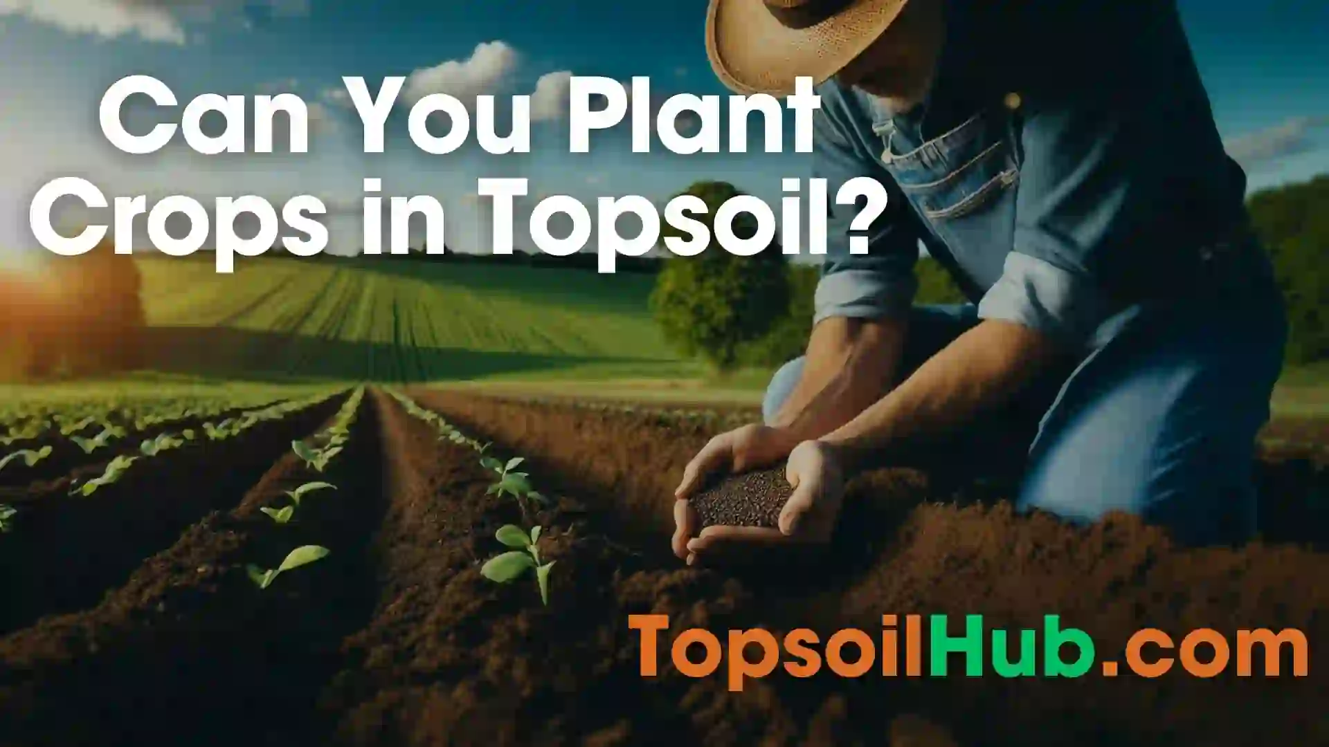 Can You Plant Crops in Topsoil