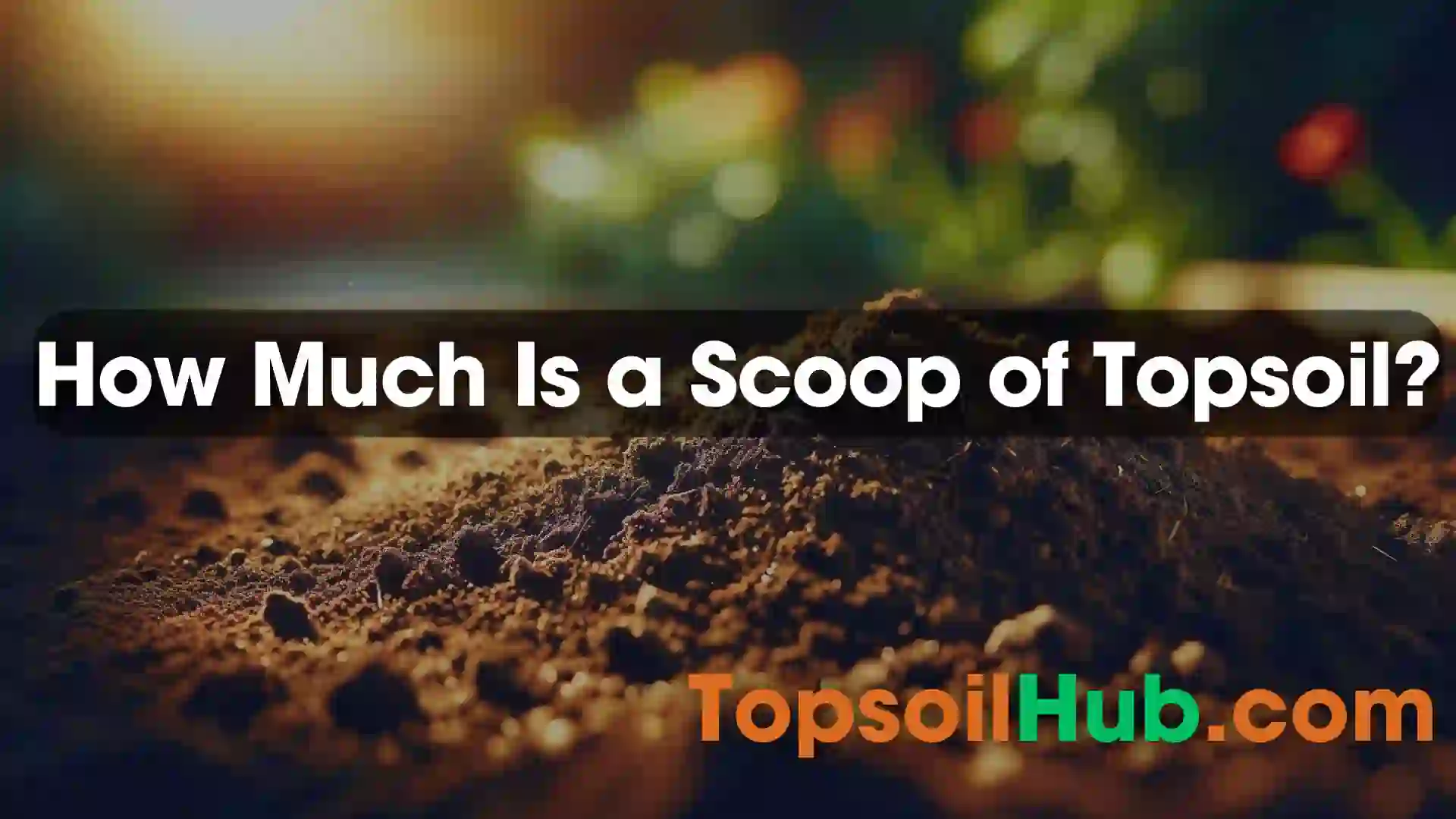 How Much Is a Scoop of Topsoil?