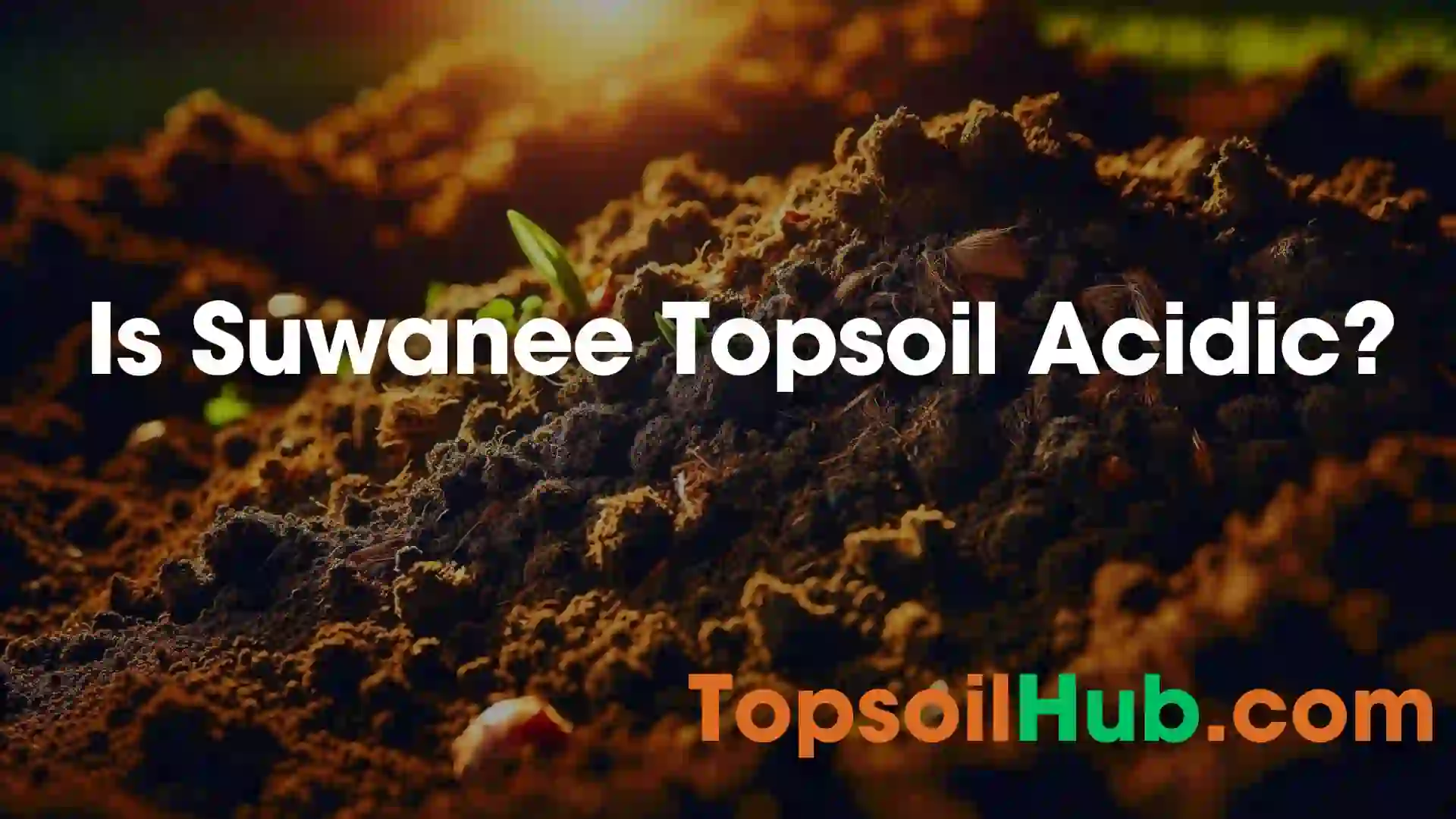 Is Suwanee Topsoil Acidic