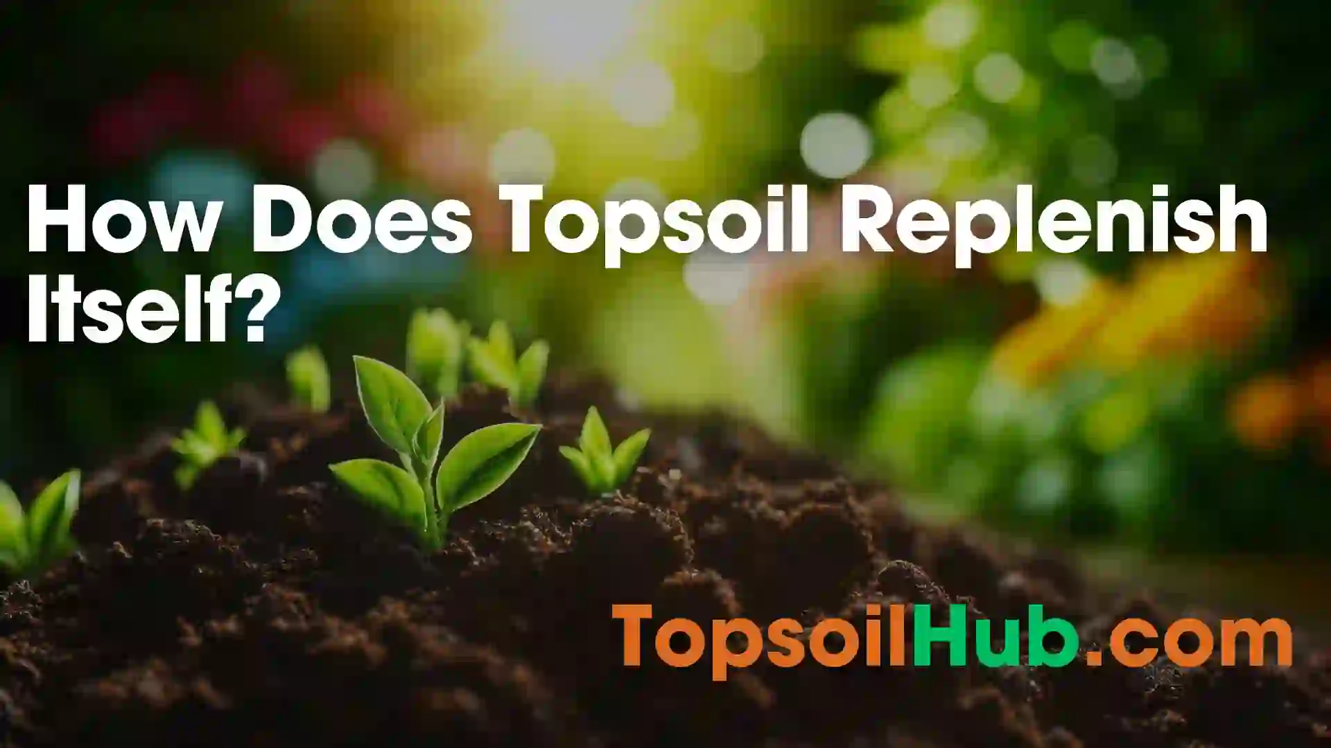 How Does Topsoil Replenish Itself