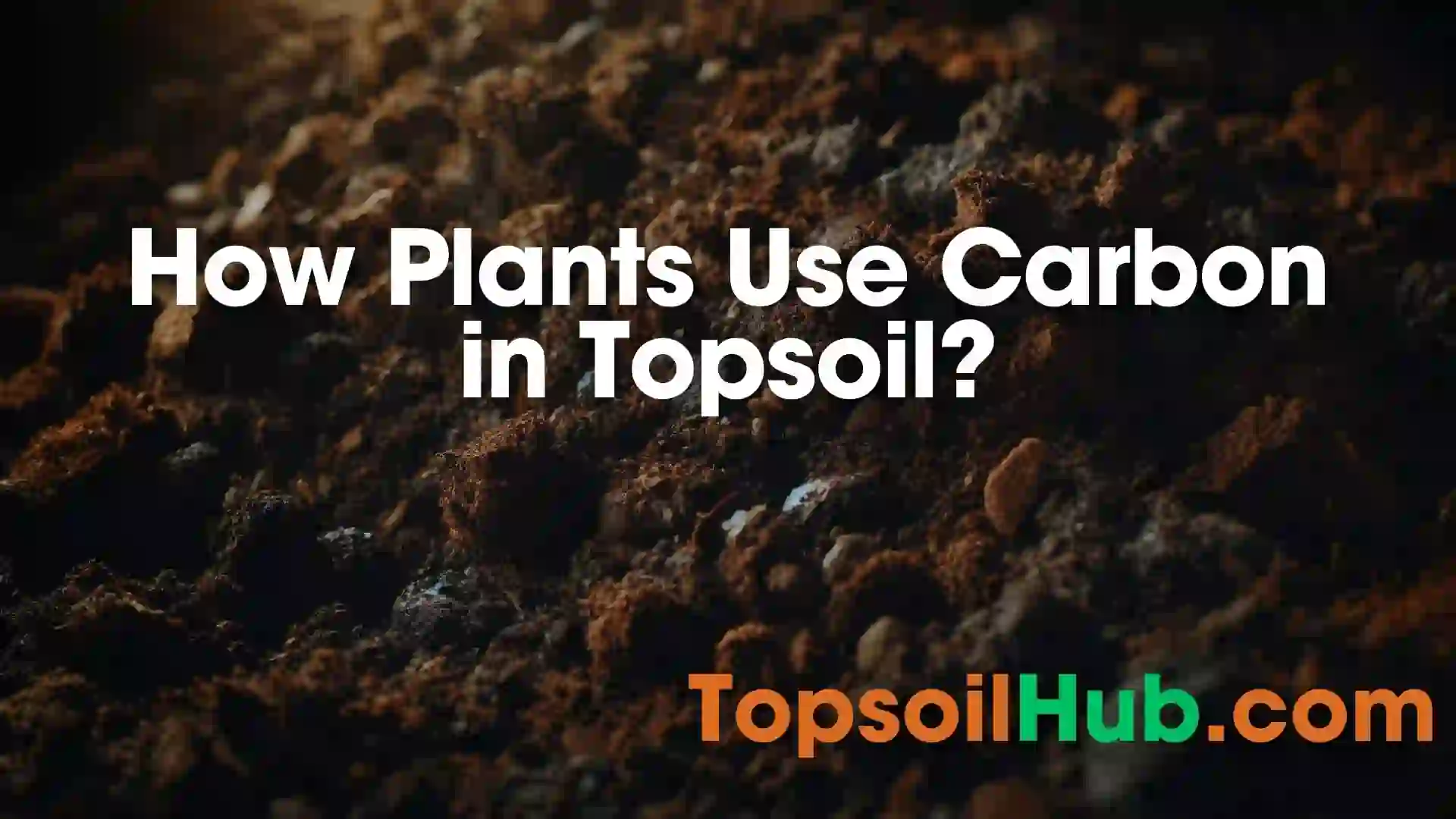 How Plants Use Carbon in Topsoil?