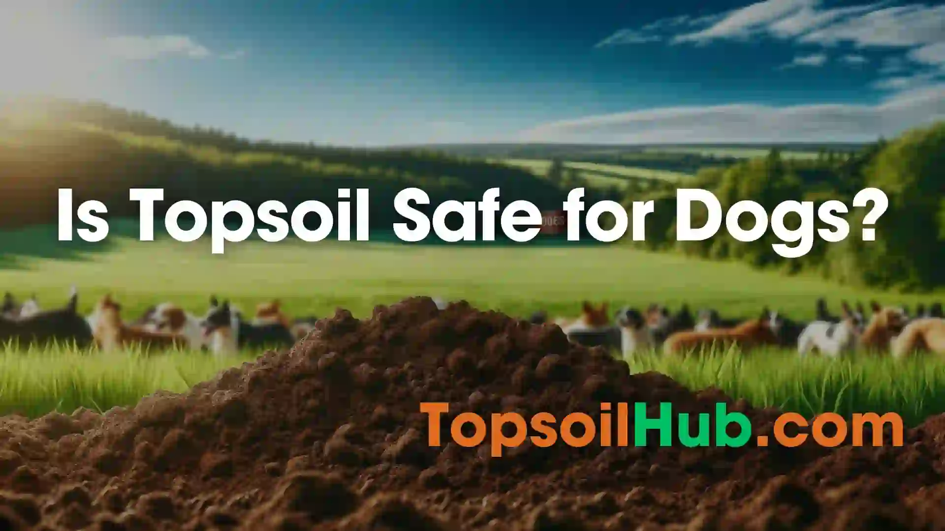 Is Topsoil Safe for Dogs