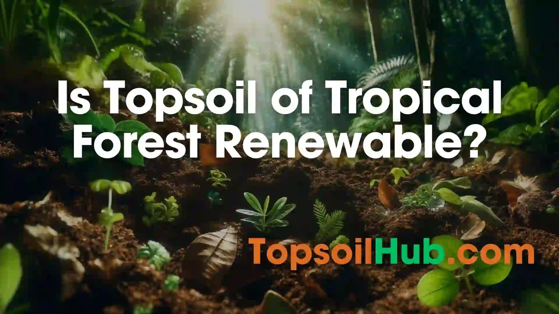 Is Topsoil of Tropical Forest Renewable