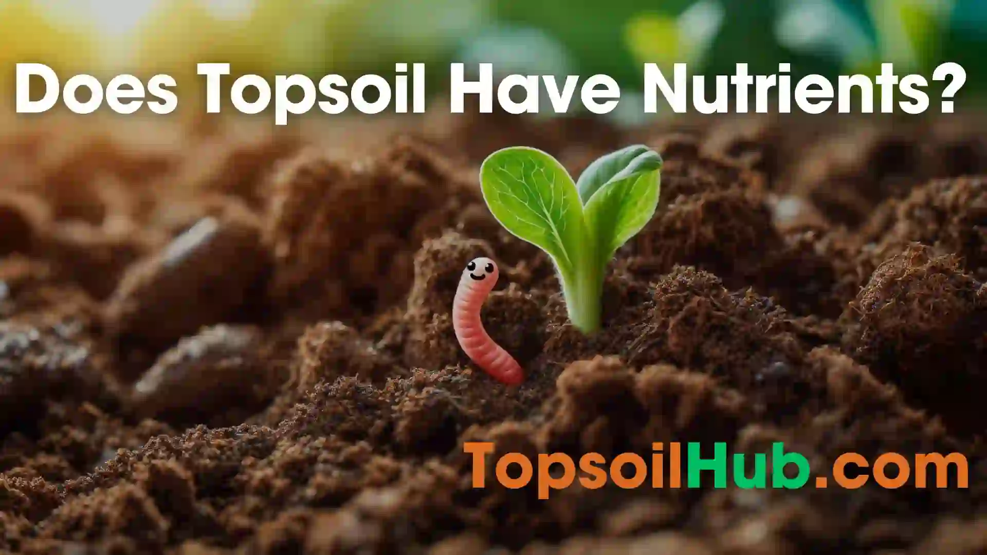 Does Topsoil Have Nutrients