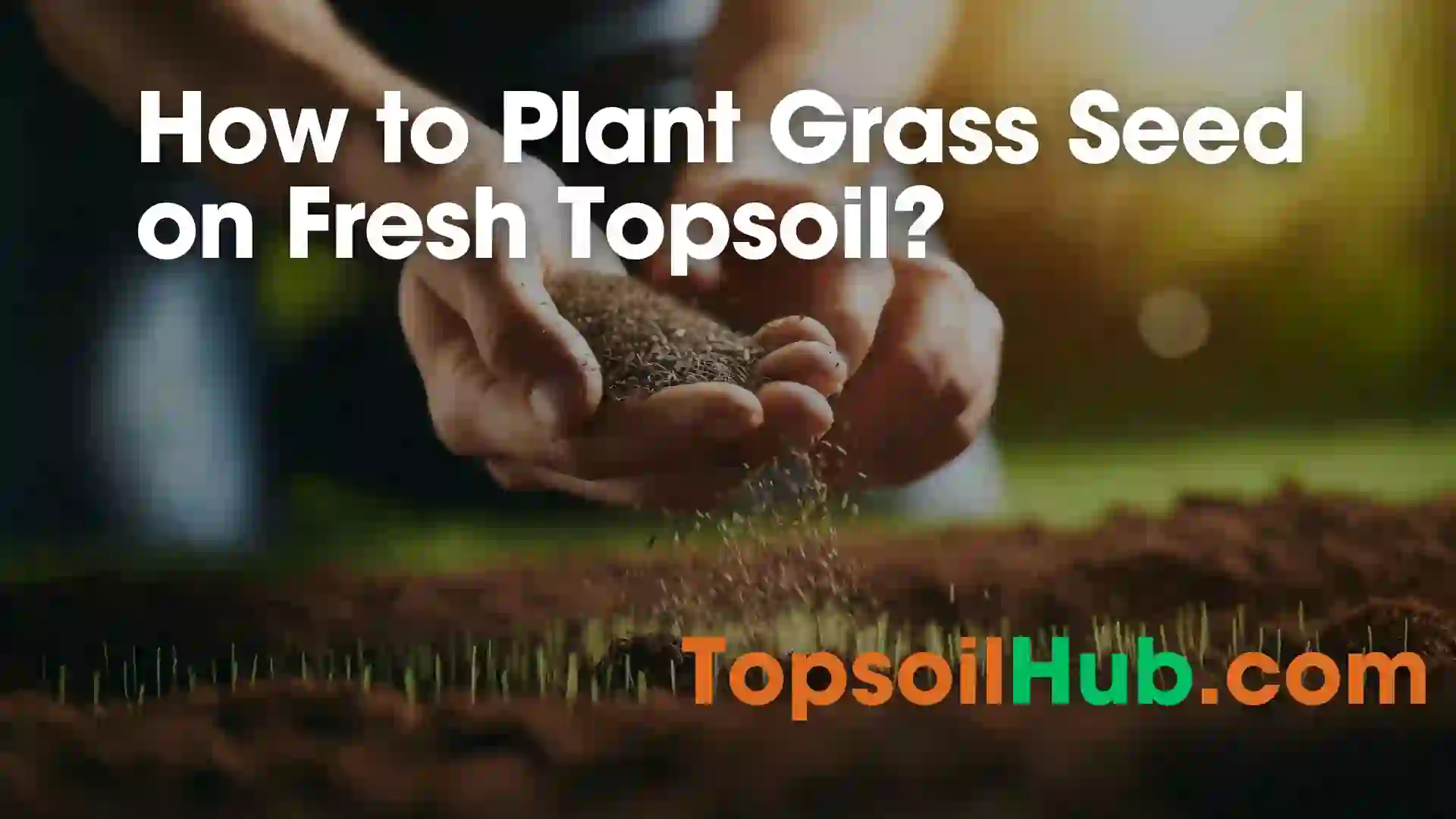 How to Plant Grass Seed on Fresh Topsoil