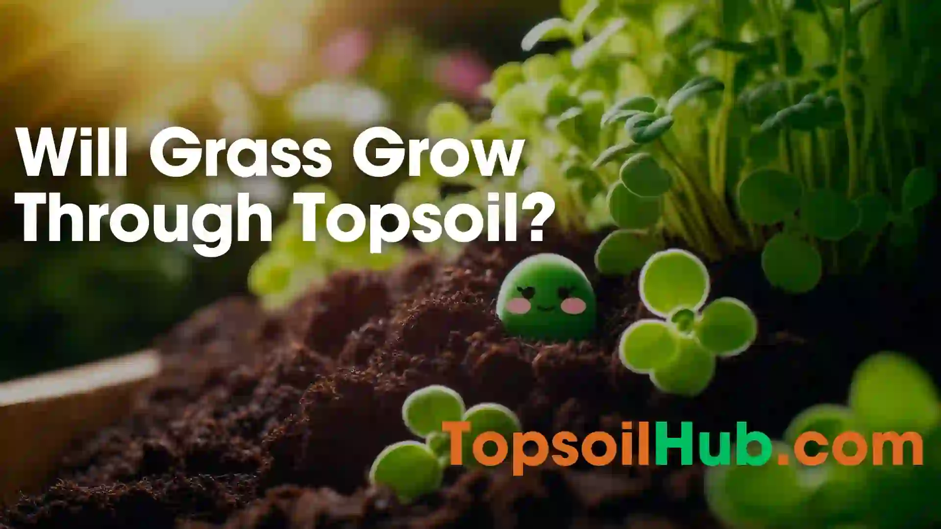 Will Grass Grow Through Topsoil Your Ultimate Guide   Will Grass Grow Through Topsoil.webp